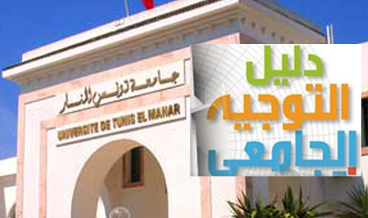 التوجيه الجامعي