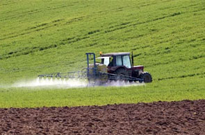 agriculture 3 19