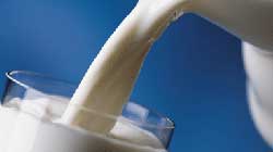 Tunisie. L’Utap annonce une augmentation du prix du lait à la production de 120 millimes