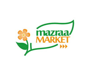 market223