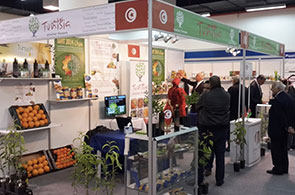 Salon-Sawsana-2014
