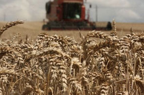 ble moisson 3 15