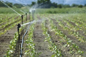 irrigation 11 20