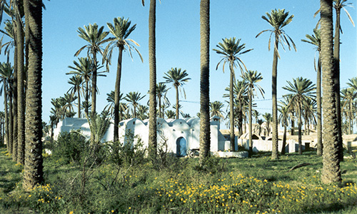 Houch-à-Djerba