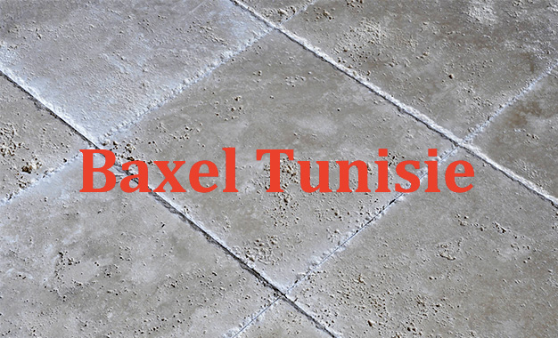 Baxel-Tunisie