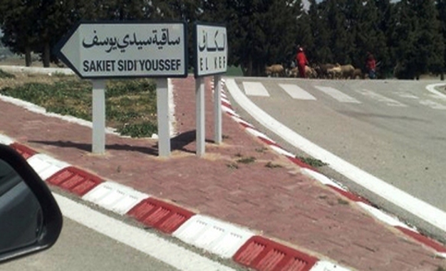 Sakiet-Sidi-Youssef