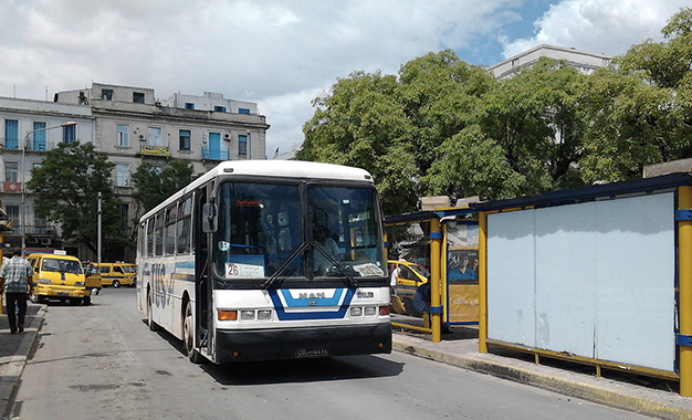 Bus-TUS