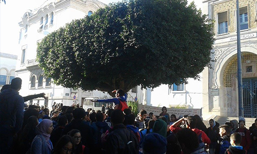 Eleve Greve Tunis