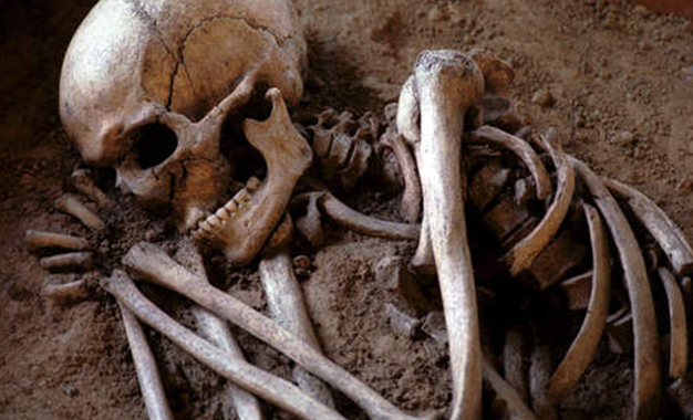 Hammamet squelette humain