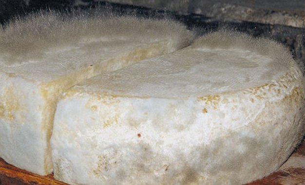 Manouba-Saisie- fromage