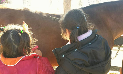 Autisme- Zoothérapie- centre equestre Mahdia