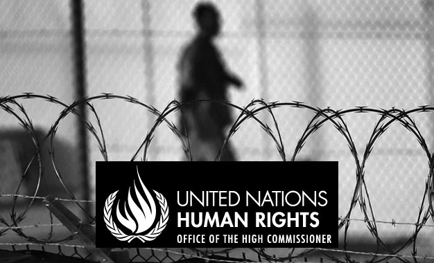 Nations-Unies-Human-Rights