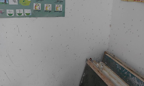 moknine invasion moustique école