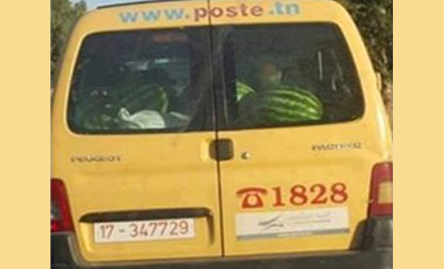 la Poste Tunisie- Enquête- Transport Pastèque