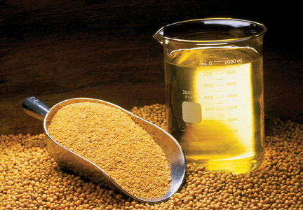 La trituration de graines de soja progresse aux Etats-Unis - IFIP