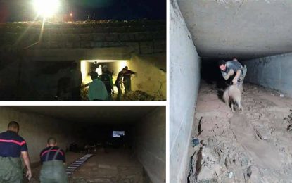 Borj Cédria : Un berger et ses moutons coincés dans un tunnel