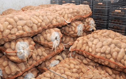 Spéculation : Saisie de 130 tonnes de pommes de terre à Sousse