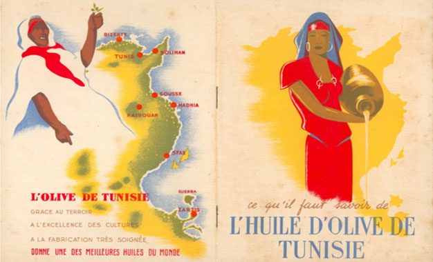 Production oléicole 2019 : Quels prix au profit de qui ?