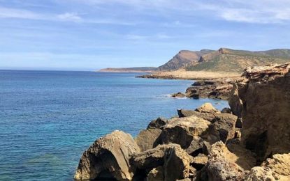 Environnement : El Haouaria, un «petit paradis à préserver»