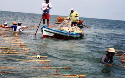 Tunisie : la pêche artisanale file du mauvais coton