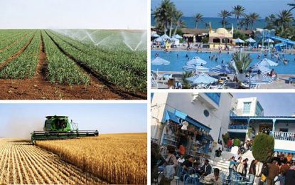 Le tourisme coûte cher à la Tunisie et lui rapporte moins que l’agriculture