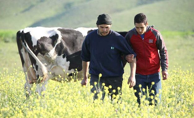 L’agriculture en temps de Covid-19 ou comment rebondir pour éviter l’effondrement