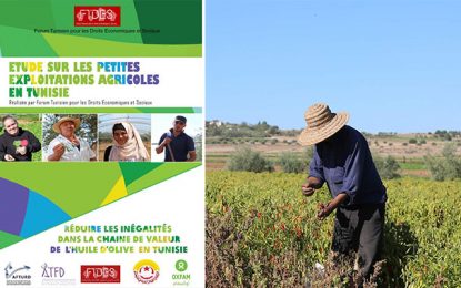 Pour l’amélioration de la situation des petites exploitations agricoles en Tunisie