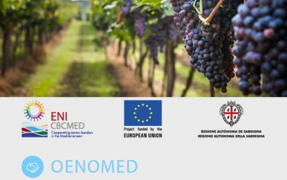 Vitiviniculture : lancement bientôt du projet Oenomed