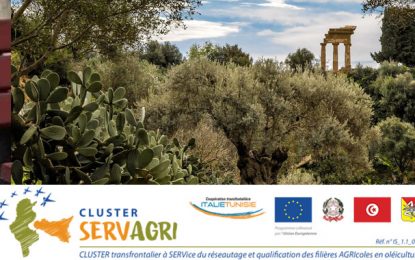 Cluster Servagri pour restructurer les filières oléicoles en Tunisie et en Italie