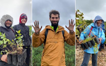 Tunisie-Reboisement : Bravant la météo capricieuse, des bénévoles ont planté 5.400 arbres à Sejnane (Photos)