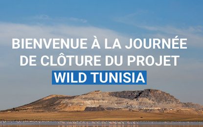 Environnement : journée de lancement officiel du label Wild Tunisia