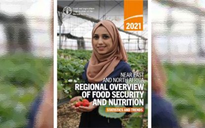 Selon un rapport de la FAO, la faim continue d’avancer dans les pays arabes