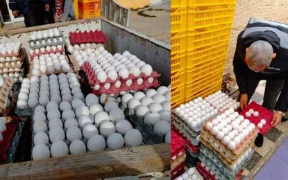 Lutte contre la spéculation : Saisie de 46.000 œufs à la Mornaguia
