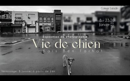 Galerie Saladin : « Vie de chien », l’exposition qui rend hommage aux chiens errants