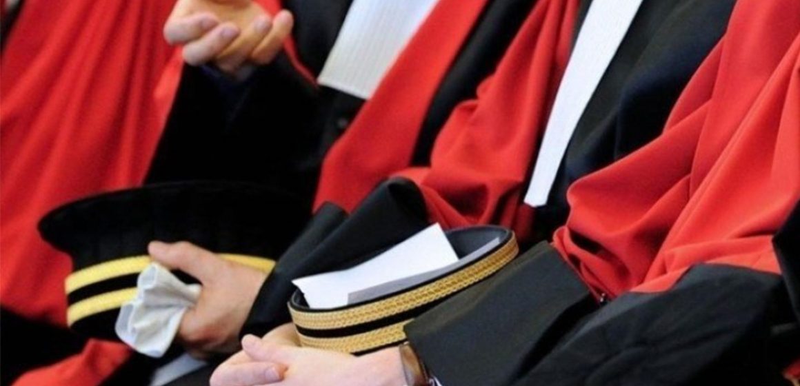 السيناتورة الإيطالية باسيفيكو: “الرئيس سعيد يسعى من خلال إعفاء 57 قاضيا آخر إعادة الدولة للعدالة و الشرعية”