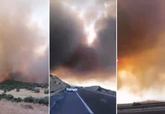 بين باجة و مجاز الباب: حريق هائل على مستوى جبل المر (فيديو)