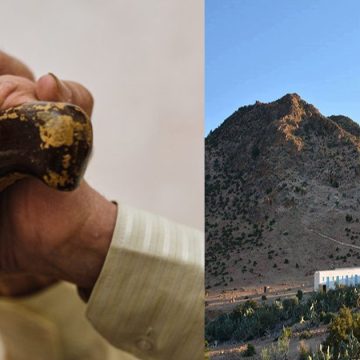 صباح اليوم: وفاة مسن في الـ90 من عمره بعد سقوطه بحمام جبل طرزة الاستشفائي بالقيروان