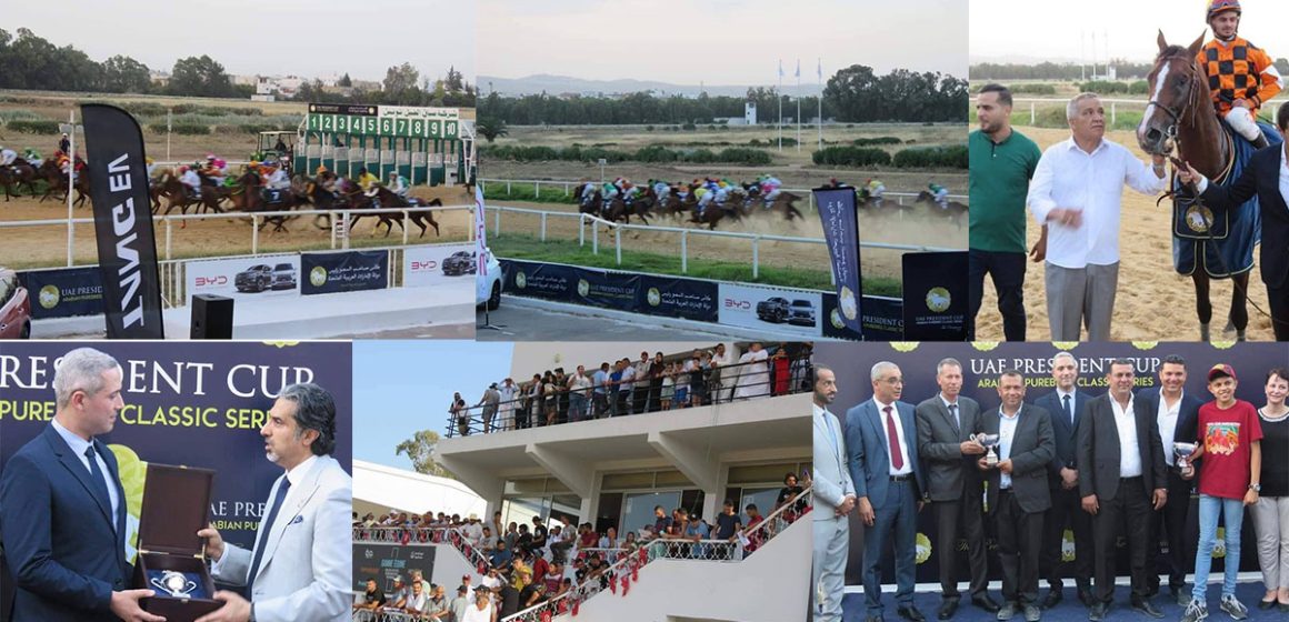 سباق جائزة رئيس دولة الإمارات العربية المتحدة للخيول العربية (ألبوم صور)