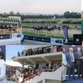 سباق جائزة رئيس دولة الإمارات العربية المتحدة للخيول العربية (ألبوم صور)