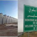 تمتد على مساحة 200 هكتار..شركة تونسية هولندية تختص في الزراعات الجيوحرارية ستوفر 3500 موطن شغل بقابس (فيديو)