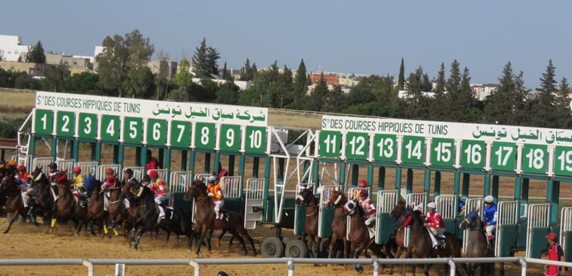 قصر السعيد/ المهرة “لحن الكروان” تفوز في سباق الجائزة الكبرى لرئيس الجمهورية للخيول العربية الأصيلة (صور)
