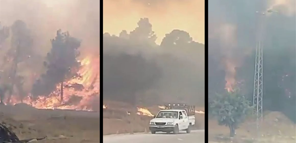 حول الحرائق في كل من ولايتي زغوان و سليانة و دعوات الاستغاثة من السكان، بلاغ وزارة الدفاع الوطني (فيديو)