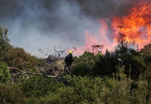 حريق جبل برقو يتواصل لليوم الرابع ورقعته تتسع بسبب رياح الشهيلي (فيديو)