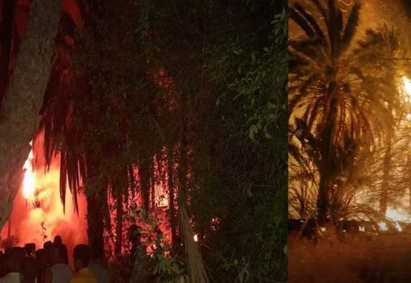 اندلاع حريق هائل  بإحدى الغابات بمدخل منطقة بلاد الحضر بمدينة توزر (صور+ فيديو)