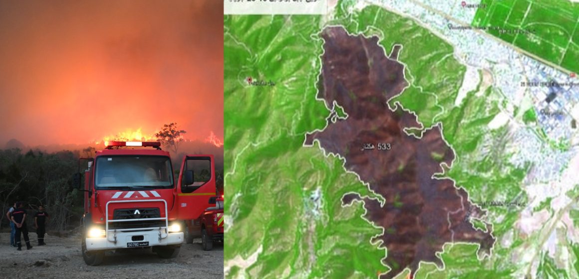 وزارة الفلاحة: السيطرة على حريق جبل بوقرنين بولاية بن عروس الذي التهم العرعار و الصتوبر في مساحة ب 533 هكتار