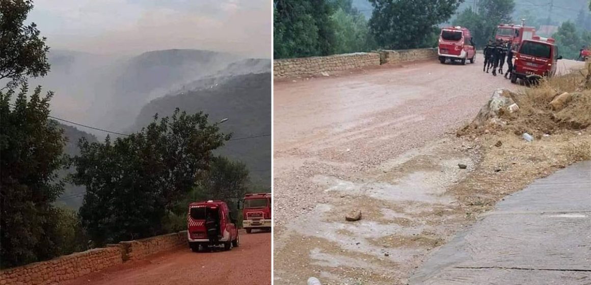 أمطار في ولاية سليانة تساهم في إطفاء 50% من الحرائق في جبل برڨو (صور)