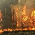 سليانة: السيطرة على حريق جبل لشيهب بالكريب بنسبة 95 بالمائة