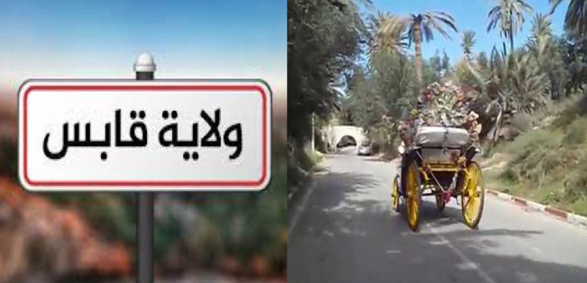 9 جمعيات ترفض تركيز قناة جديدة للتطهير بالطريق السياحية بين قابس وشنّني (بيان)