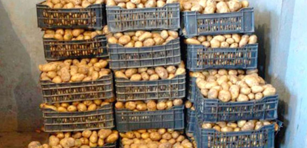 حجز 33,680 طن من البطاطا بمخزن غير مصرح به بالقصرين (صورة)