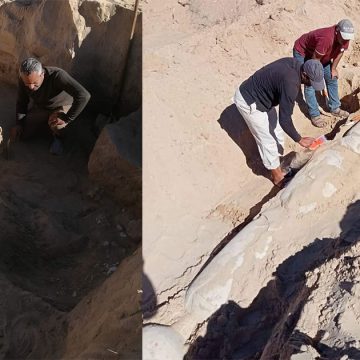 صور/ المنستير: اكتشاف أثري جديد بصقانس يعود الى الفترة الرومانية- المسيحية المتأخرة (الفترة البيزنطية)